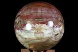 Colorful Petrified Wood Sphere - Madagascar #71437-1
